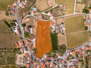 Land with panoramic view near Bombarral, Property for sale in Bombarral, Leiria, BL786
