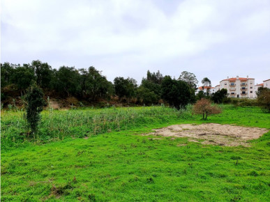 Land of 16.080m2 in Caldas da Rainha, Property for sale in Caldas da Rainha, Leiria, BL520