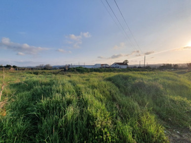 Land in Amoreira - Óbidos, Property for sale in Óbidos, Leiria, BL738