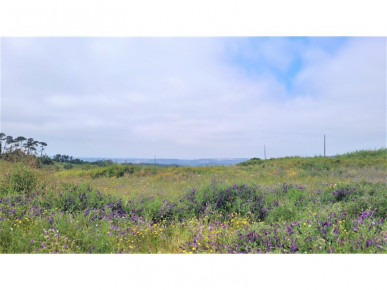 Land for construction in Bombarral, Property for sale in BL726