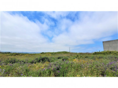 Land for construction in Bombarral, Property for sale in BL726