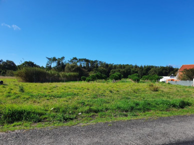 Land of 8.293m2 in Tornada - Caldas da Rainha, Property for sale in Caldas da Rainha, Leiria, BL764
