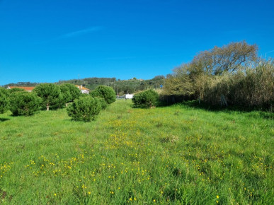 Land of 8.293m2 in Tornada - Caldas da Rainha, Property for sale in Caldas da Rainha, Leiria, BL764