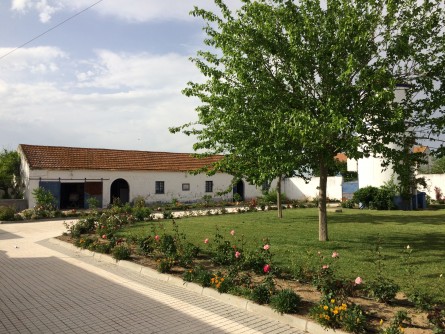 Gouxaria, Property for sale in PW354