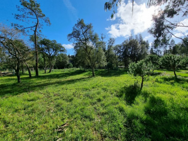 Land in Tornada - Caldas da Rainha, Property for sale in Caldas da Rainha, Leiria, BL763