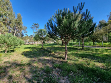 Land in Tornada - Caldas da Rainha, Property for sale in Caldas da Rainha, Leiria, BL763