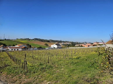 Land for construction of 7 houses with beautiful views!, Property for sale in Bombarral, Leiria, BL883