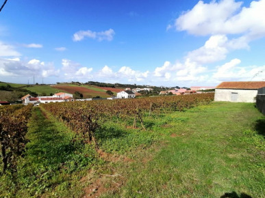 Land for construction of 7 houses with beautiful views!, Property for sale in Bombarral, Leiria, BL883