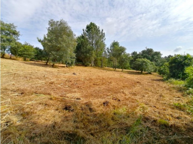 Land in Óbidos with great potential for an urban plan, Property for sale in Óbidos, Leiria, BL938