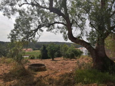 Land in Óbidos with great potential for an urban plan, Property for sale in Óbidos, Leiria, BL938