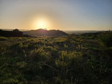 Land with approved project between Óbidos and Bombarral, Property for sale in Bombarral, Leiria, BL953