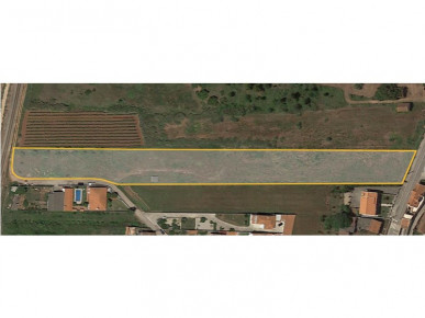 Land with approved project between Óbidos and Bombarral, Property for sale in Bombarral, Leiria, BL953