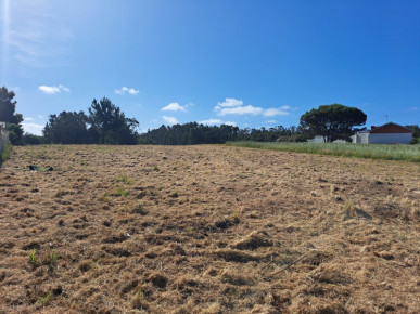 Land with sea views and approved projects!, Property for sale in Peniche, Peniche, BL989