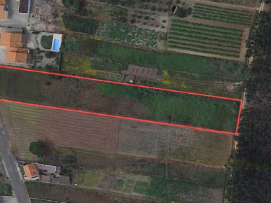 Land with sea views and approved projects!, Property for sale in Peniche, Peniche, BL989