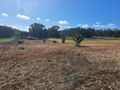 Land with sea views and approved projects!, Property for sale in Peniche, Peniche, BL989