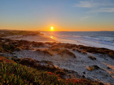 Land for construction of Hotel or Aparthotel in Praia D'El Rey Resort, Property for sale in Óbidos, Leiria, BL1070