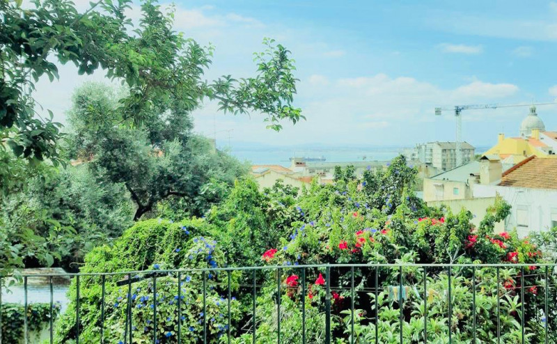 Apartment Graça, Property for sale in PW3885