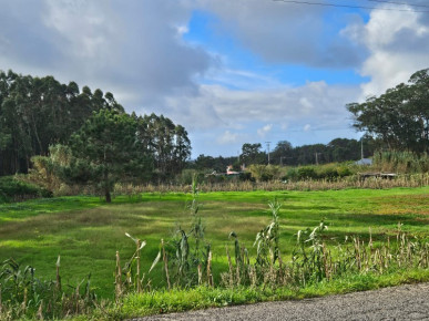 Land next to the entrance of the Bukubaki Eco resort, Property for sale in Peniche, Peniche, BL1195