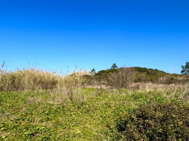 Urban land with 1150m2 in Serra do Bouro, very close to Salir do Porto, Property for sale in Caldas da Rainha, Leiria, BL1201