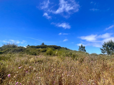 Urban land with 1150m2 in Serra do Bouro, very close to Salir do Porto, Property for sale in Caldas da Rainha, Leiria, BL1201