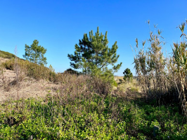 Urban land with 1150m2 in Serra do Bouro, very close to Salir do Porto, Property for sale in Caldas da Rainha, Leiria, BL1201