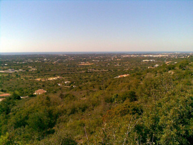 Plot of Land  Sea Views & Planning  Santa Bárbara de Nexe, Property for sale in PP926