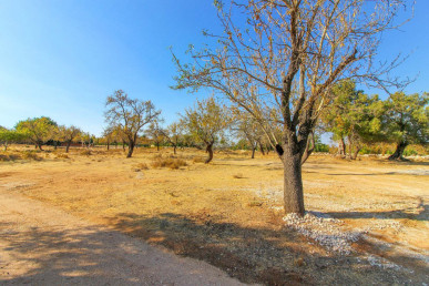 Large Plot of Land with Sea View in Boliqueime, Property for sale in PP3042