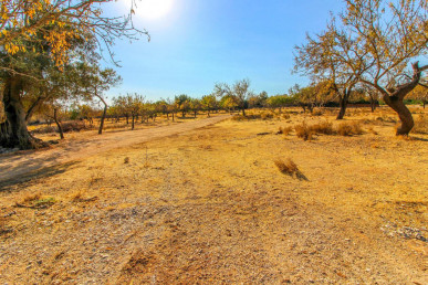 Large Plot of Land with Sea View in Boliqueime, Property for sale in PP3042