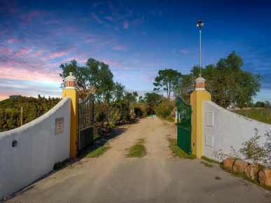 Rural Property With 5 Bedrooms, 7 Ha Of Land + A Project Approval To Build 6 Housing Units, Property for sale in PP3743