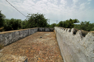 Rustic Land In  São Brás, Property for sale in PP4213