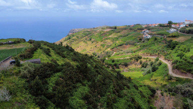 Land with 22 918m2 in Ponta do Pargo., Property for sale in PP173455