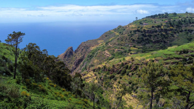 Land with 1200m2 in Prazeres, Property for sale in PP173582