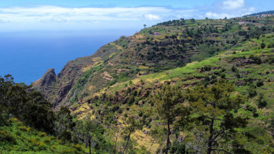 Land with 1200m2 in Prazeres, Property for sale in PP173582