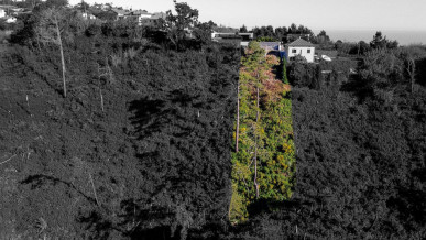 Land with 1200m2 in Prazeres, Property for sale in PP173582