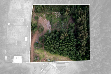 Land with 6 195m2 in Santa Cruz, Property for sale in PP173603