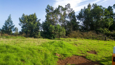 Land with 6 195m2 in Santa Cruz, Property for sale in PP173603