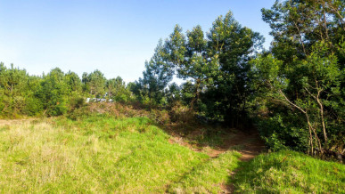 Land with 6 195m2 in Santa Cruz, Property for sale in PP173603