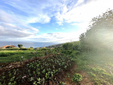 Land In Santa Cruz, Property for sale in PP174574