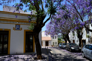 Manor House, Suitable For A Small Hotel Or Guest House, One Commercial Unit (Small Café), Property for sale in PP174948