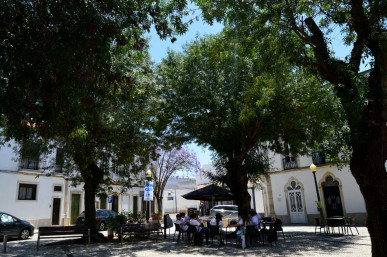 Manor House, Suitable For A Small Hotel Or Guest House, One Commercial Unit (Small Café), Property for sale in PP174948