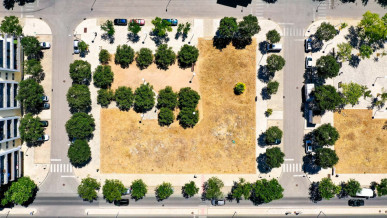 Plot For Habitation And Commercial Services Construction, Property for sale in PP175106