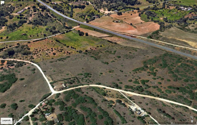 A unique viticulture investment opportunity in the Algarve, Property for sale in Odiáxere, Lagos, PP175338