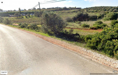 A unique viticulture investment opportunity in the Algarve, Property for sale in Odiáxere, Lagos, PP175338
