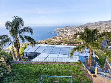 Astonishing Property Funchal, Property for sale in PP175402