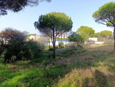 Plot In Vilas Alvas Urbanisation Near Vale Do Lobo, Property for sale in PP175470