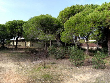 Plot With Planning Ideally Located In Varandas Do Lago, Property for sale in PP175472
