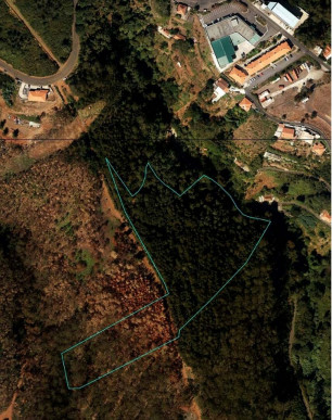 Land Camacha Madeira, Property for sale in PP175789