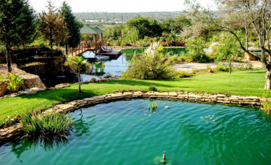 Outstanding Country Estate In The Heart Of The Algarve – With Commercial License, Property for sale in Conceição e Estoi, Faro, PP175844