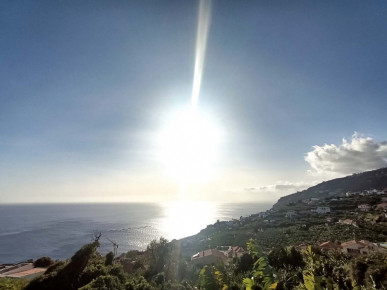Land in Arco da Calheta, Property for sale in PP173680