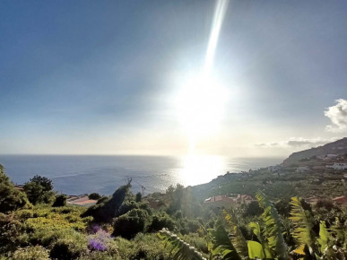 Land in Arco da Calheta, Property for sale in PP173680